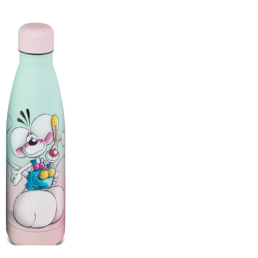 Diddl drinkfles RVS – Herbruikbare drinkfles voor school en onderweg – 500 ml