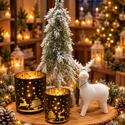 Kerstpakket winter star